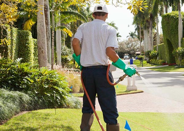 About Fort Benning GA Pest Control Pros